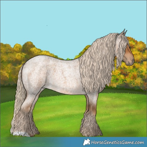 Horse Color:Chocolate Palomino Roan