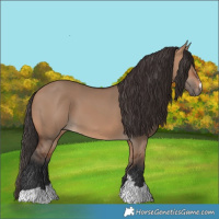 Horse Color:Bay Dun