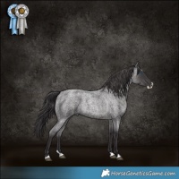 Horse Color:Smoky Blue Roan Splash 
