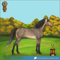 Horse Color:Buckskin Dun Rabicano