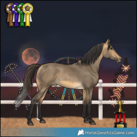 Horse Color:Buckskin Dun Rabicano 