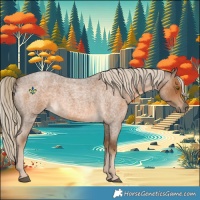 Horse Color:Chocolate Palomino Roan 