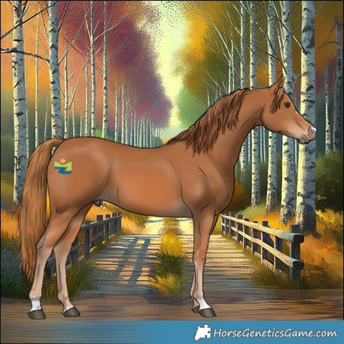 Horse Color:Chestnut 