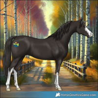 Horse Color:White Spotted Liver Chestnut 