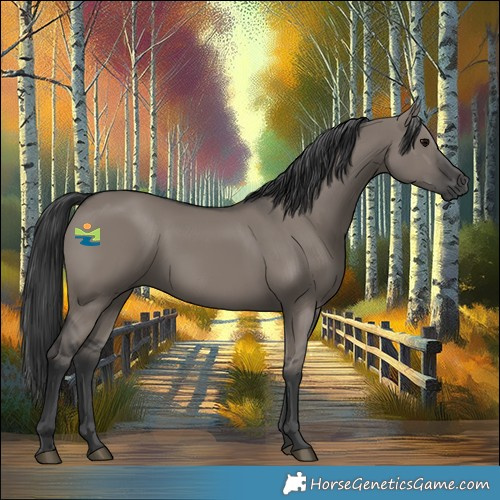 Horse Color:Grullo Rabicano 