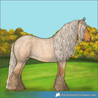 Horse Color:Palomino Roan