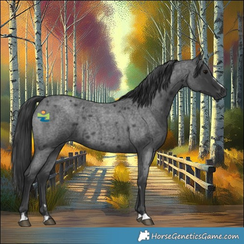 Horse Color:Blue Roan 