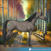 Horse Color:Grullo Rabicano 