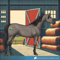 Horse Color:Grullo Rabicano 