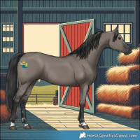 Horse Color:Grullo Rabicano 