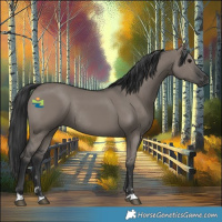 Horse Color:Grullo Rabicano 