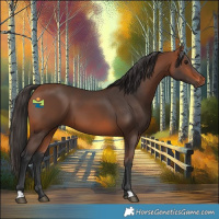 Horse Color:Bay 