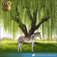 Horse Color:Silver Buckskin Dun Tobiano Brindle 