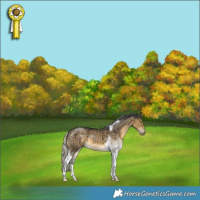 Horse Color:Silver Buckskin Dun Tobiano Brindle