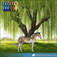 Horse Color:Silver Buckskin Dun Tobiano Brindle 