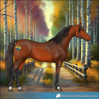 Horse Color:Bay 
