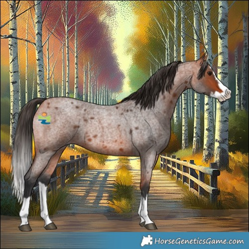 Horse Color:Bay Roan Splash 