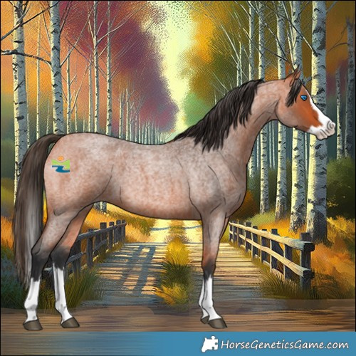 Horse Color:Bay Roan Splash