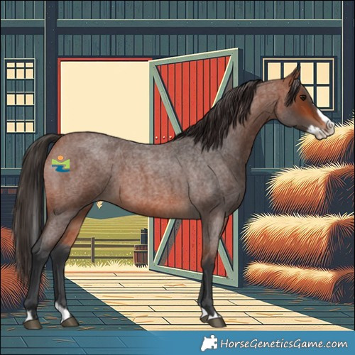 Horse Color:Bay Roan Splash 