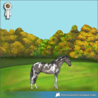 Horse Color:White Spotted Grullo Tobiano Brindle