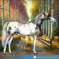 Horse Color:Smoky Black Tobiano Frame  and Chocolate Palomino Pearl Tobiano Frame 