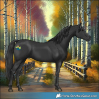 Horse Color:Black 