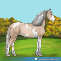 Horse Color:Chocolate Palomino Pearl Tobiano Frame and Chocolate Palomino Pearl Tobiano Frame