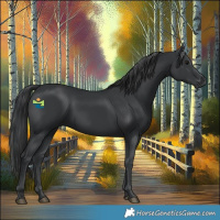 Horse Color:Black 