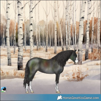 Horse Color:Smoky Black Varnish 