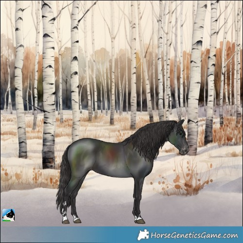 Horse Color:Smoky Black Varnish 
