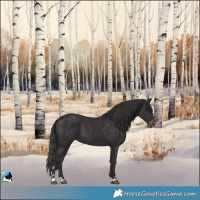 Horse Color:Smoky Black Varnish