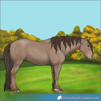 Horse Color:Unknown 