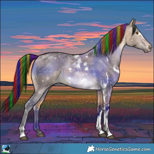 Horse Color:Painted White Spotted Buckskin Dun Tobiano Rabicano 