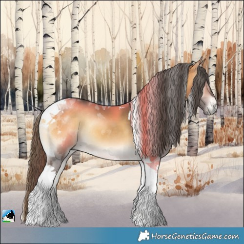 Horse Color:Buckskin Onyx Tobiano Rabicano 