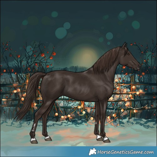 Horse Color:Liver Chestnut 