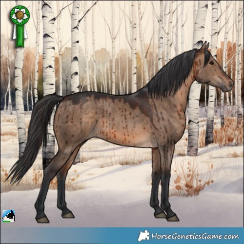 Horse Color:Brown Dun Rabicano Brindle 