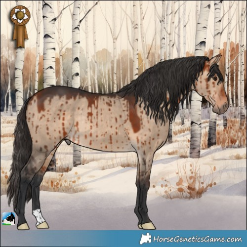 Horse Color:Bay Dun Rabicano Brindle 