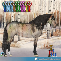 Horse Color:Bay Dun Rabicano Brindle
