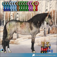 Horse Color:Bay Dun Rabicano Brindle 