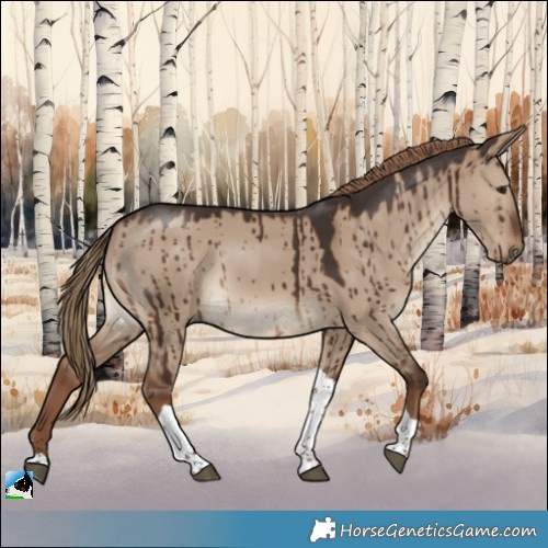 Horse Color:Liver Red Dun Tobiano Rabicano Brindle 