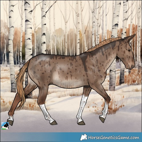 Horse Color:Liver Red Dun Tobiano Rabicano Brindle