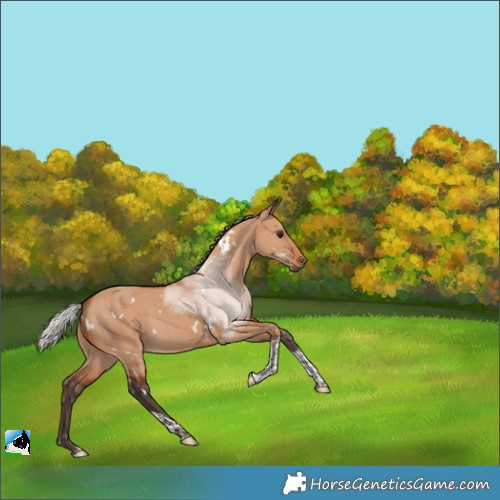 Horse Color:White Spotted Silver Brown Dun Tobiano 