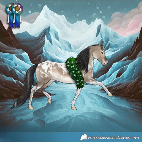 Horse Color:White Spotted Brown Dun Tobiano Blanket Rabicano