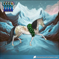 Horse Color:White Spotted Brown Dun Tobiano Blanket Rabicano