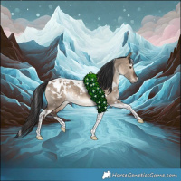 Horse Color:White Spotted Brown Dun Tobiano Appaloosa Rabicano
