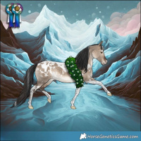 Horse Color:White Spotted Brown Dun Tobiano Blanket Rabicano