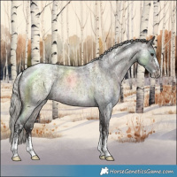 Horse Color:Powder White Silver Brown Roan 