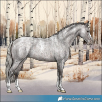 Horse Color:Powder White Silver Brown Roan 