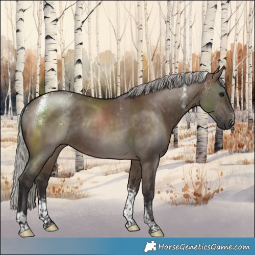 Horse Color:Powder White Silver Brown Dun Tobiano 