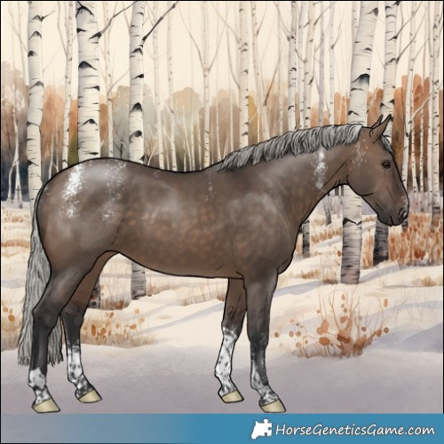 Horse Color:Powder White Silver Brown Dun Tobiano 